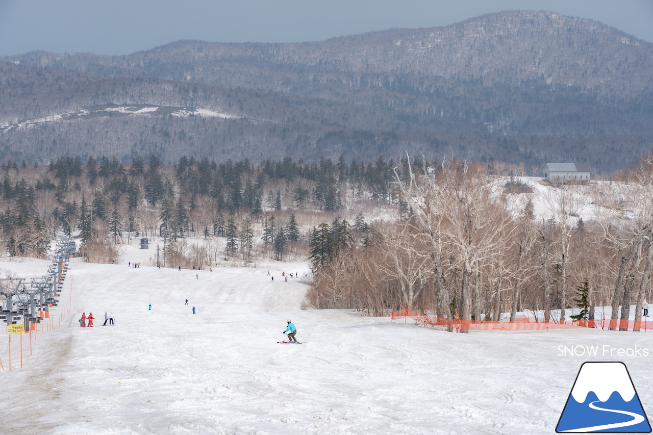 札幌国際スキー場｜2023・ゴールデンウィークがスタート！心配された雪ですが…。大丈夫、ちゃんと残ってくれました(^_-)-☆